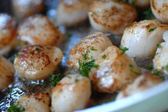 recette fricassée saint jacques + mache